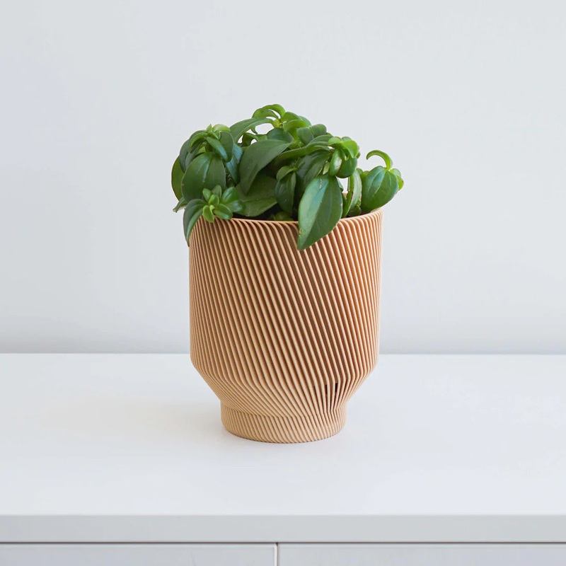 Tan Spruce Planter|2 inch|4 inch|6 inch