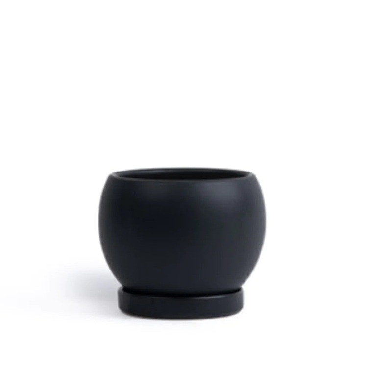 Black Boll Pot with Water Saucer