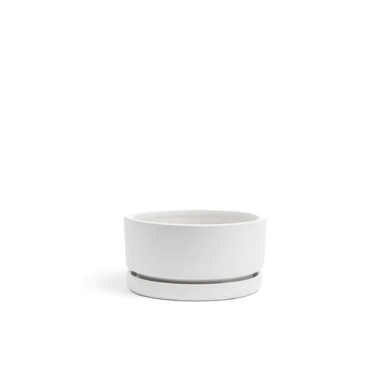 White Low Bowl with Water Tray