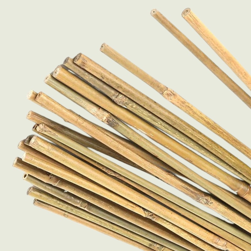 Bamboo Pole|36 inch
