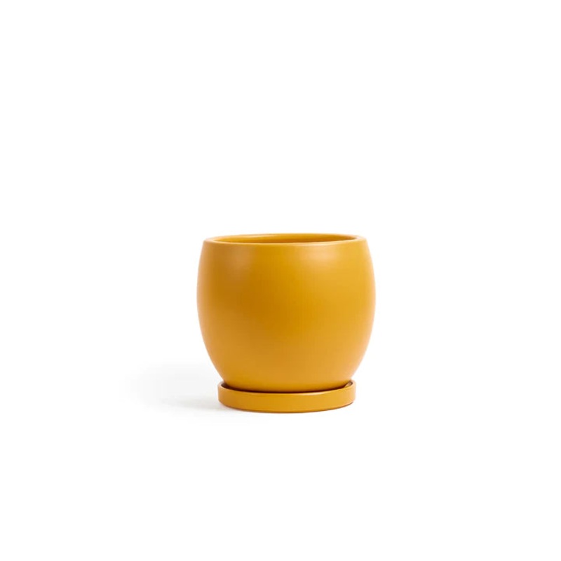 Mustard Boll Pot with Water Saucer