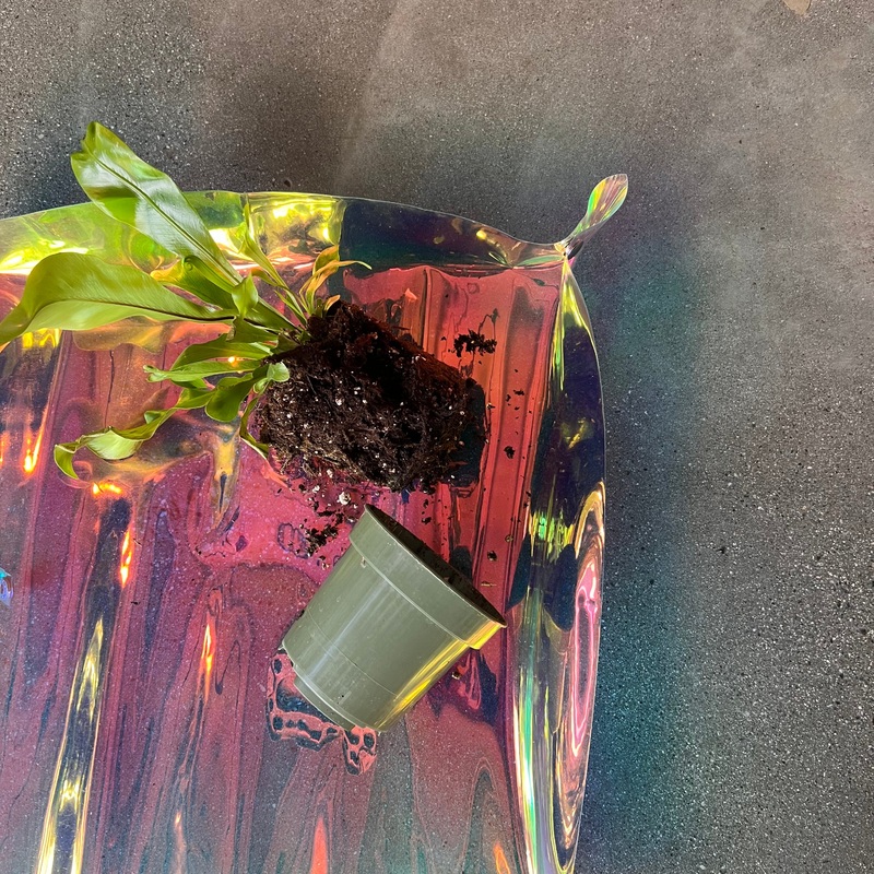 Iridescent Repotting Tarp