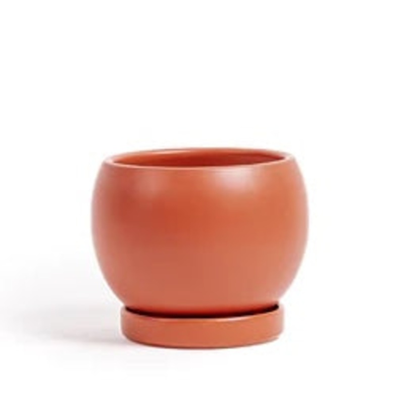 Rust Boll Pot with Water Saucer