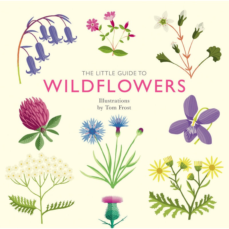 The Little Guide to Wildflowers Book