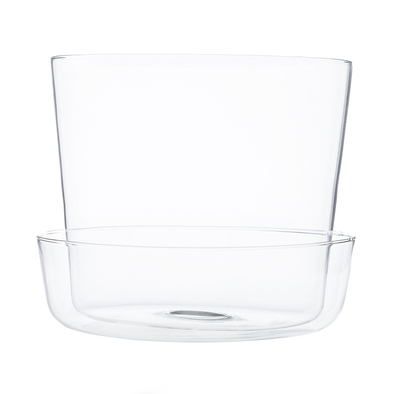 Glass Planter with Saucer|4 inch|6 inch