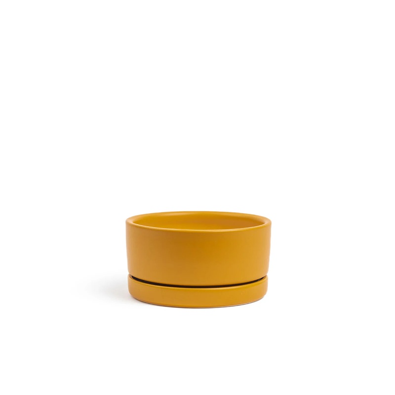 Mustard Low Bowl with Water Tray