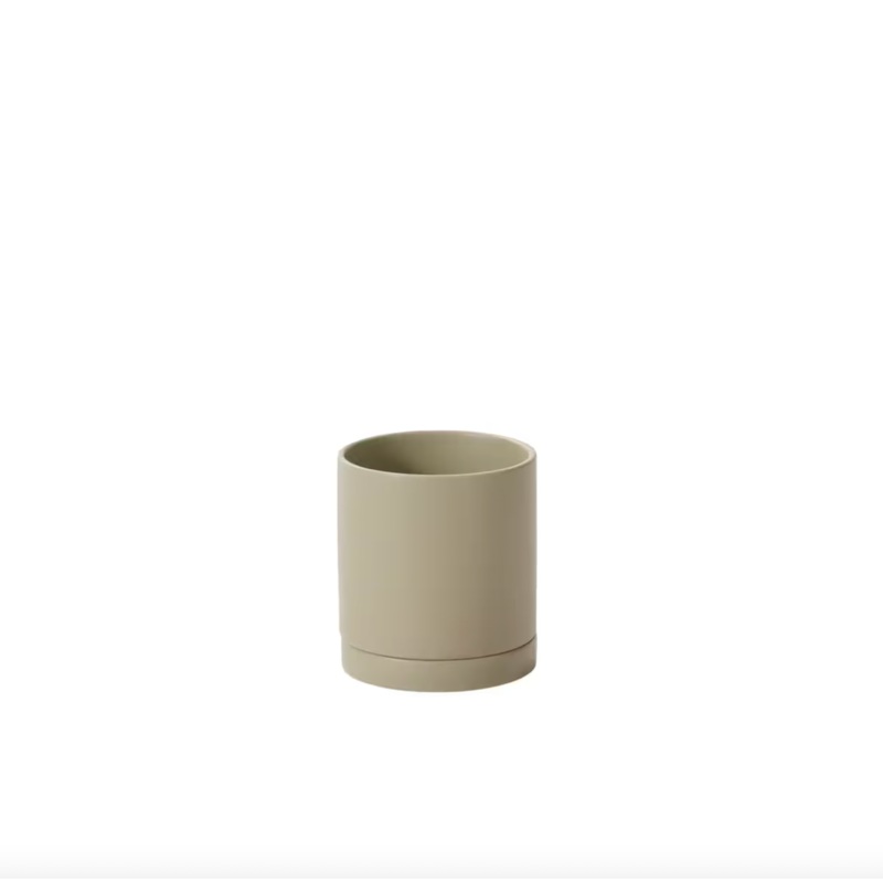 Moss Romey Planter and Saucer|4 inch|6 inch|8 inch|10 inch|12 inch