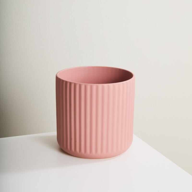 Pink Beam Pot|4 inch