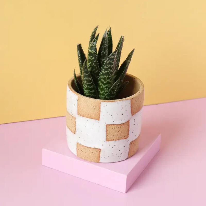 White Checkerboard Ceramic Planter