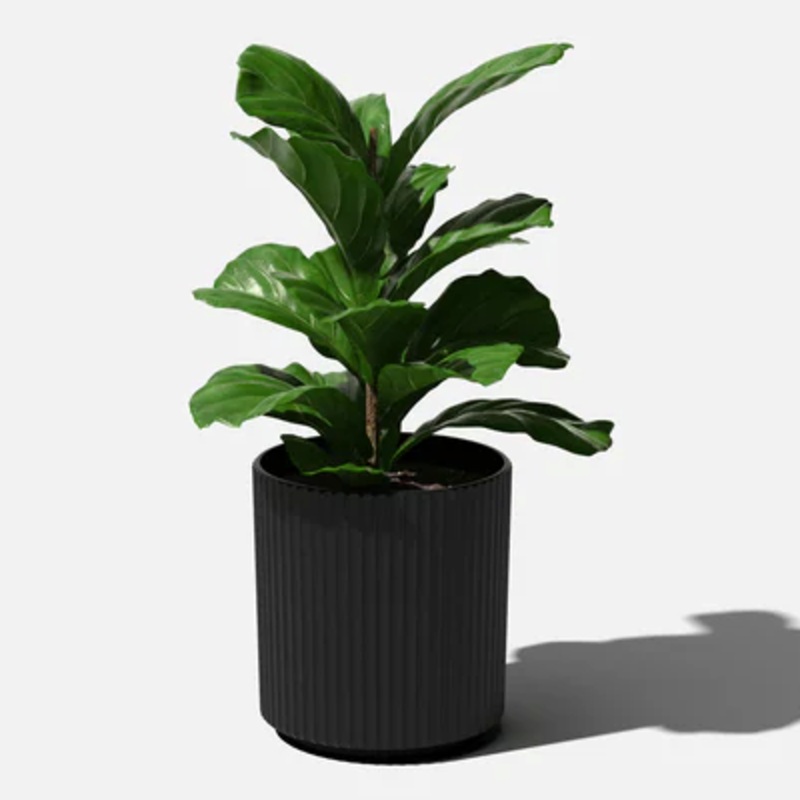 Black Demi Planter|10 inch|15 inch