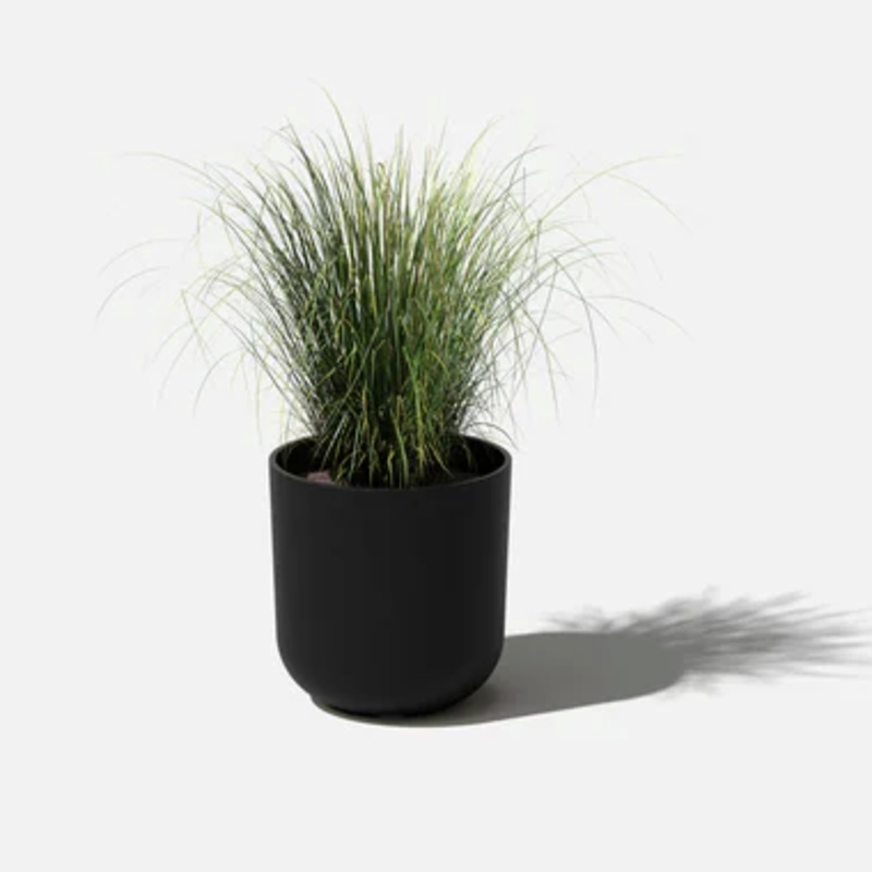 Black Mason Kona Planter|10 inch