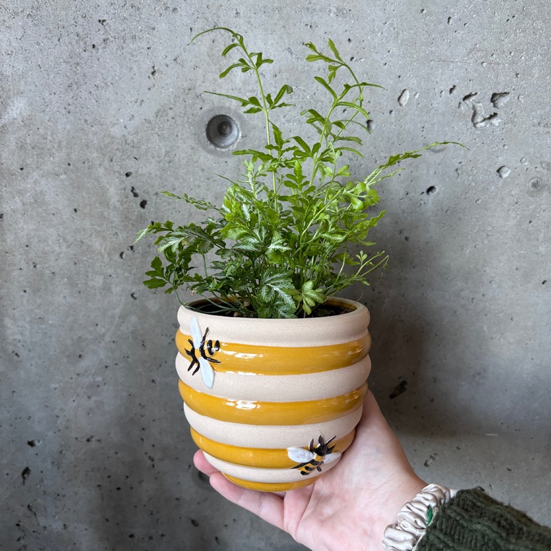 Honeybee Planter|4 inch