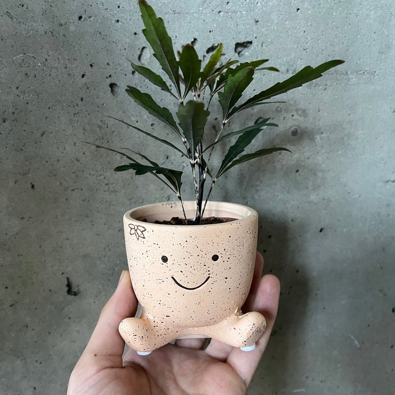 Smiley Guy Pot|2 inch