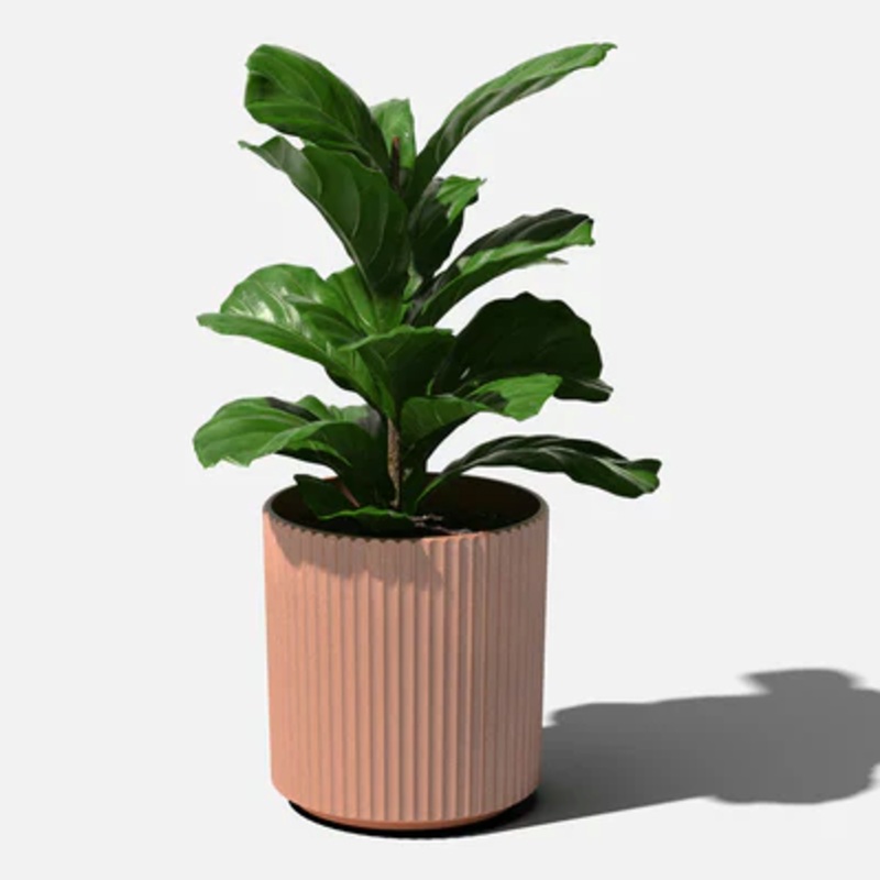 Terracotta Demi Planter|10 inch