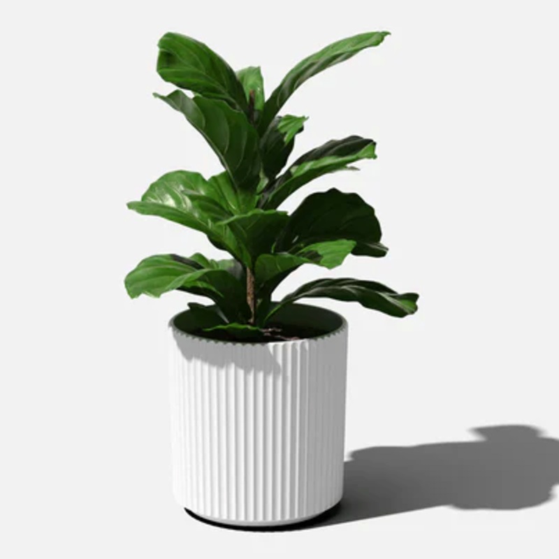 White Demi Planter|10 inch|15 inch