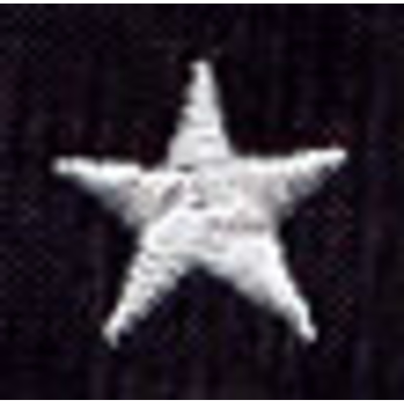 Ecliptic Constellations – Star 3