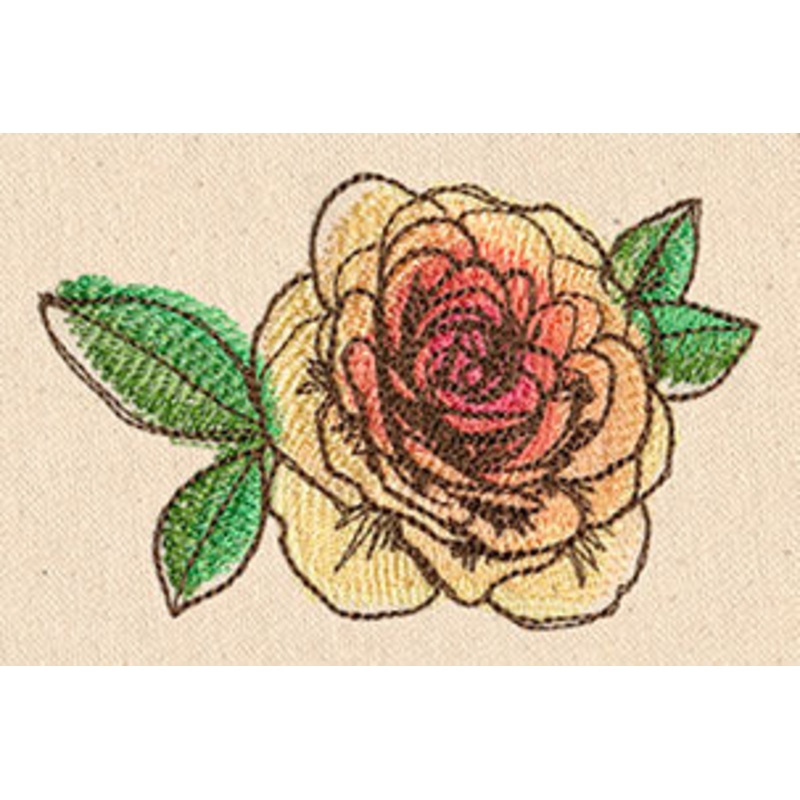 Passport to England – English Rose
