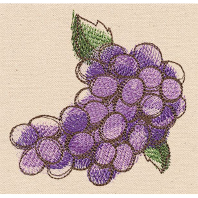 Passport to Italy – Wine Grapes