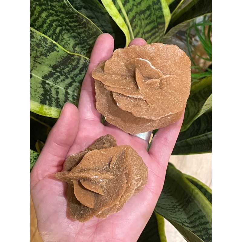 Selenite Rose|6