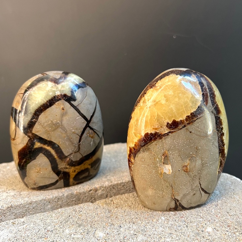 Septarian Dragon Stone Statue