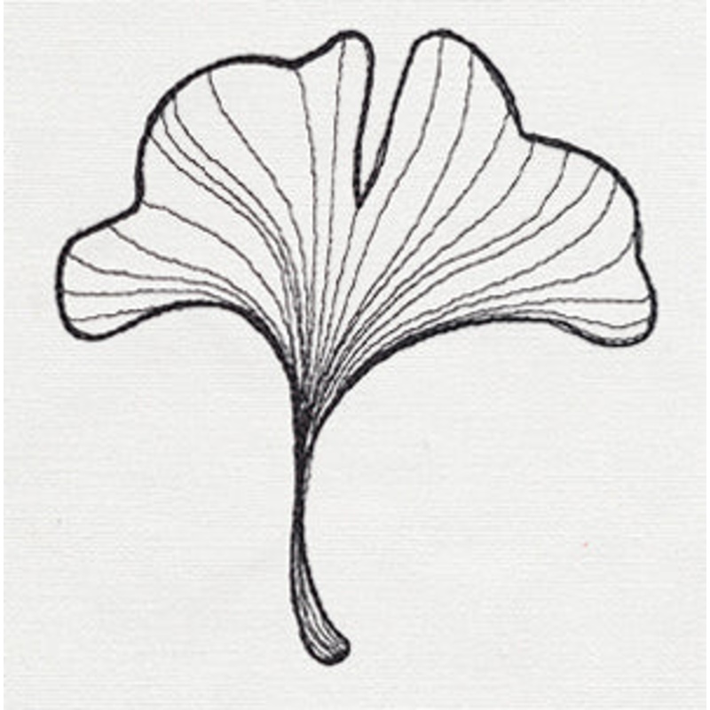 Engraved Ginkgo – Single Leaf|3.86″ x 3.66″ / 98mm x 93mm