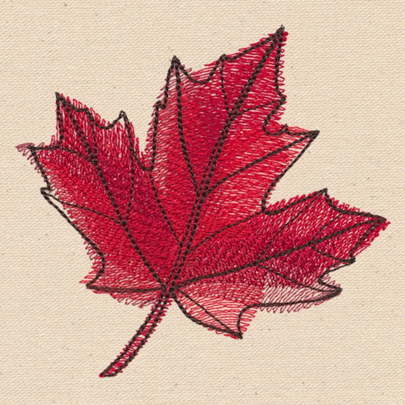 Passport to Canada – Maple Leaf