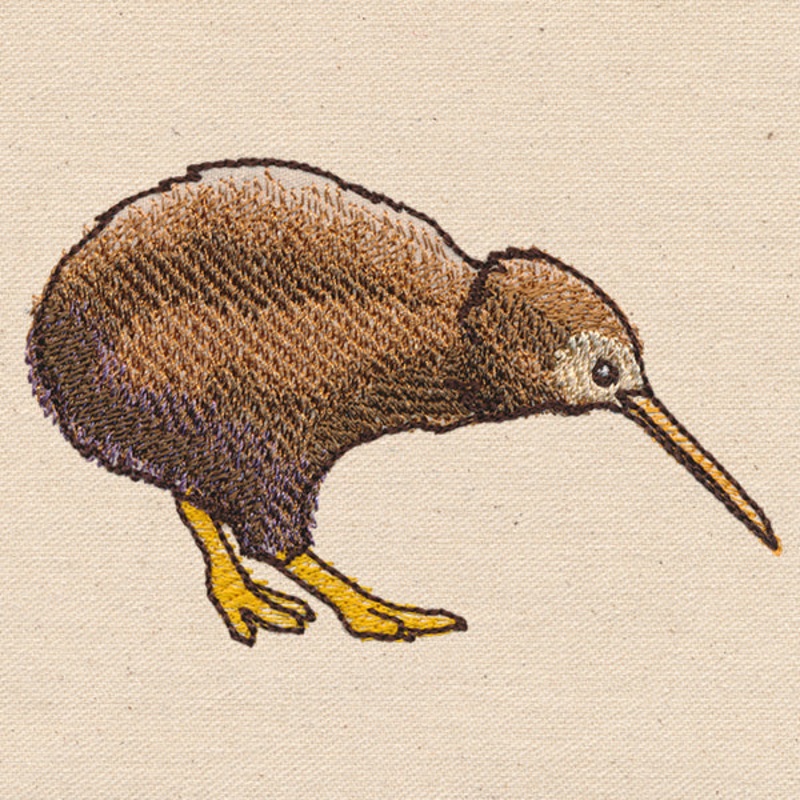 Passport to New Zealand – Kiwi