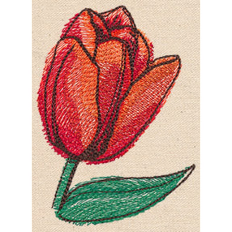 Passport to The Netherlands – Tulip