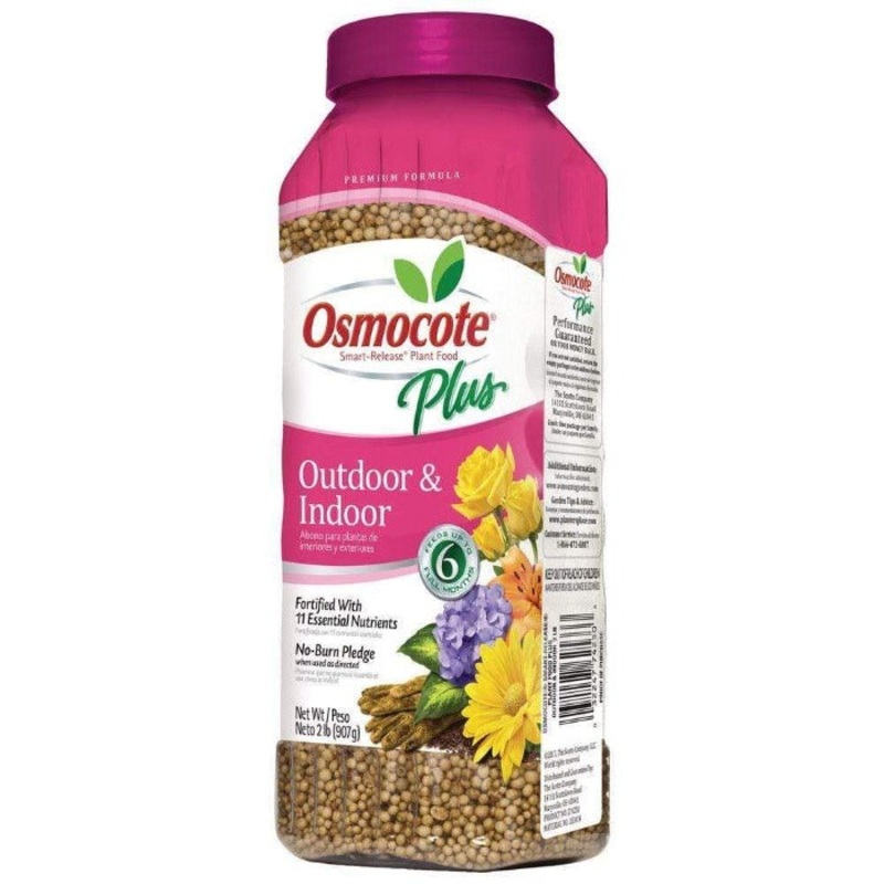 Osmocote Plus Outdoor and Indoor Plant Food