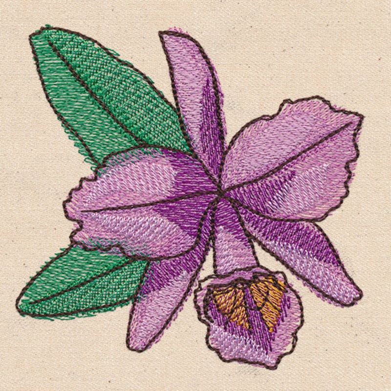 Passport to Brazil – Corsage Orchid
