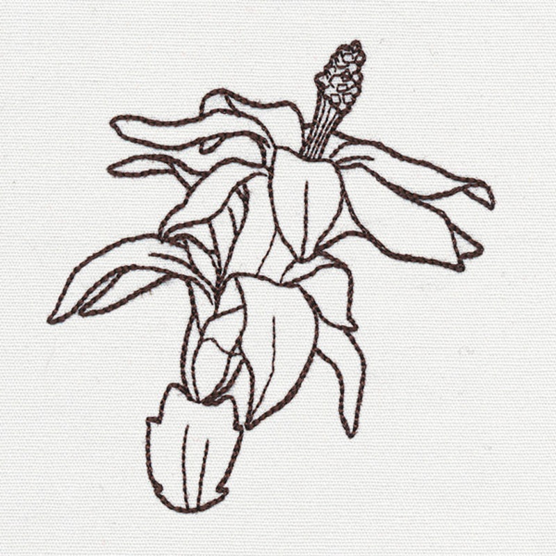 Yuletide Medley – Christmas Cactus