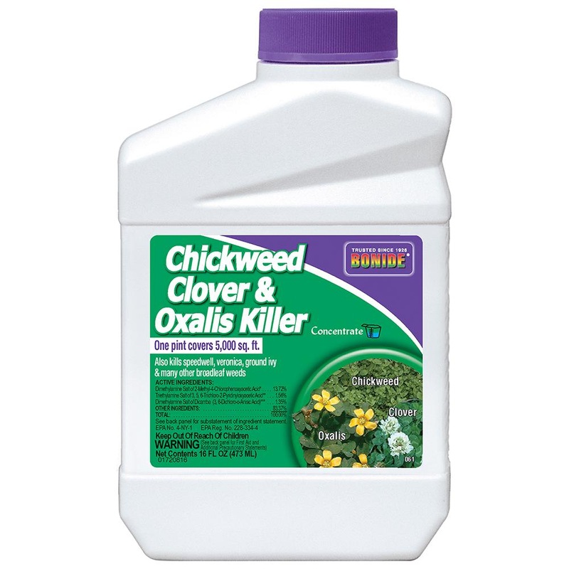 Bonide Chickweed and Clover Killer