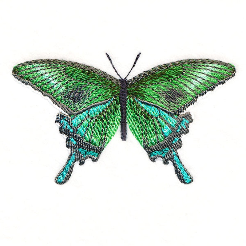 Butterfly Bliss – Japanese Swallowtail