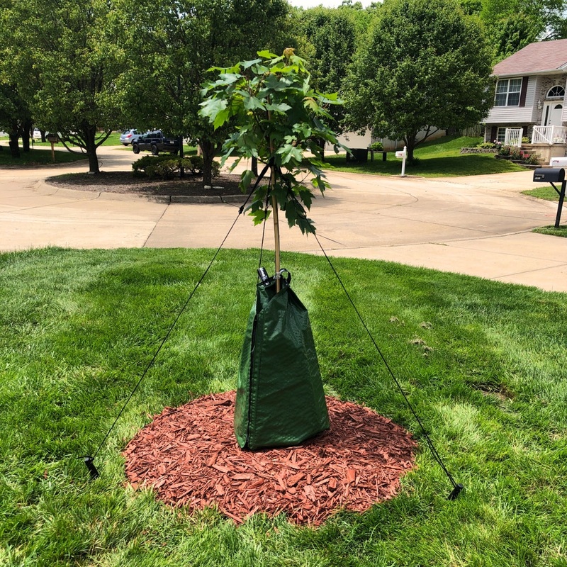 DeWitt Dew Right Tree Watering Bag
