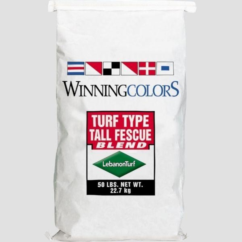 Winning Colors Fescue Blend Grass Seed