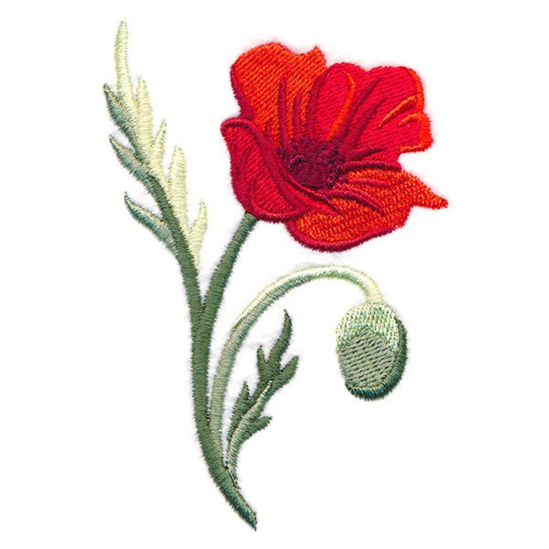 Captivating Poppy|3.89″ x 2.54″ / 98.81mm x 64.41mm