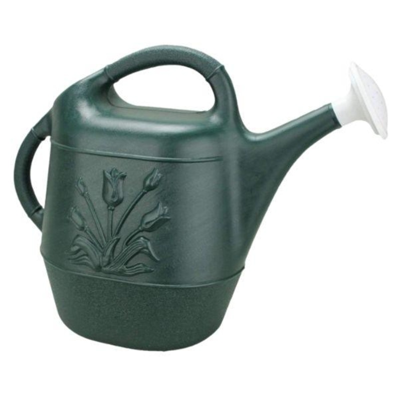 Green Watering Can|2 Gallon