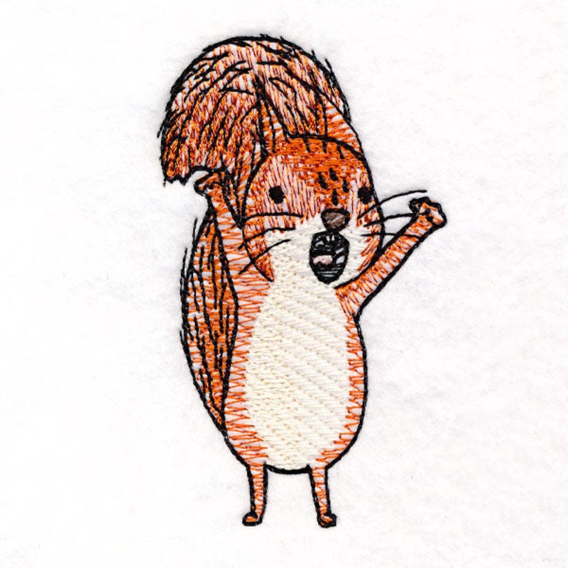 I’m Not Crazy – Squirrel 1|3.56″ x 2.1″ / 90.37mm x 53.23mm