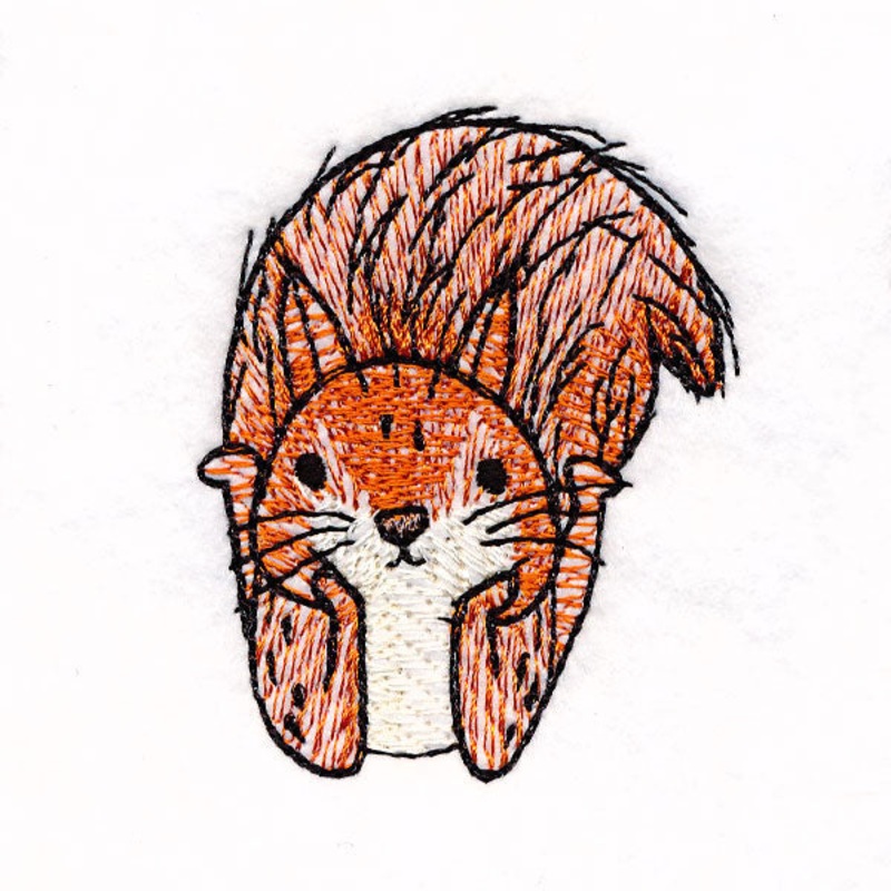 I’m Not Crazy – Squirrel 2|2.44″ x 1.95″ / 61.9mm x 49.5mm