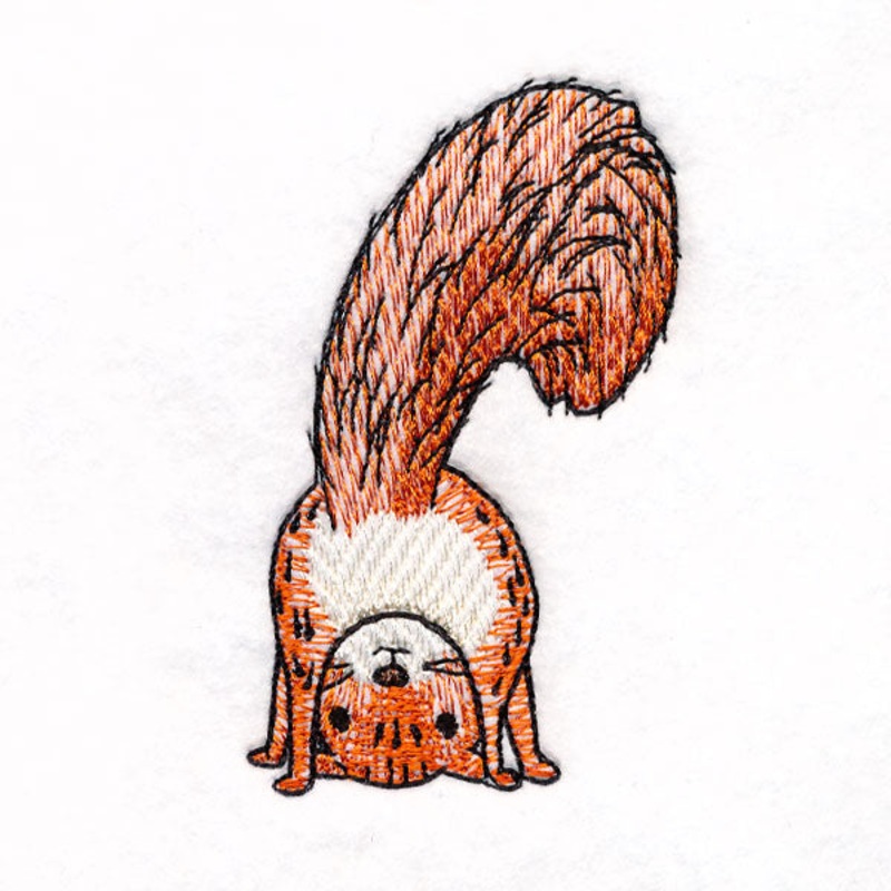 I’m Not Crazy – Squirrel 3|3.53″ x 2.22″ / 89.76mm x 56.41mm
