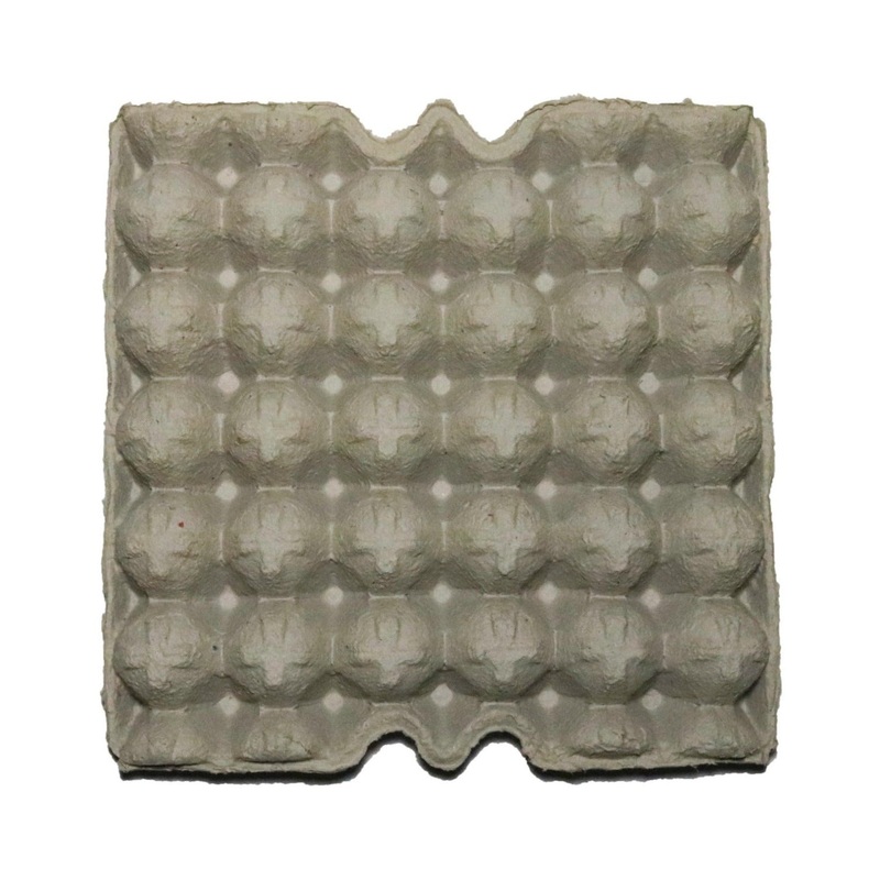 Egg Trays|1 sheet|5 sheets|10 sheets