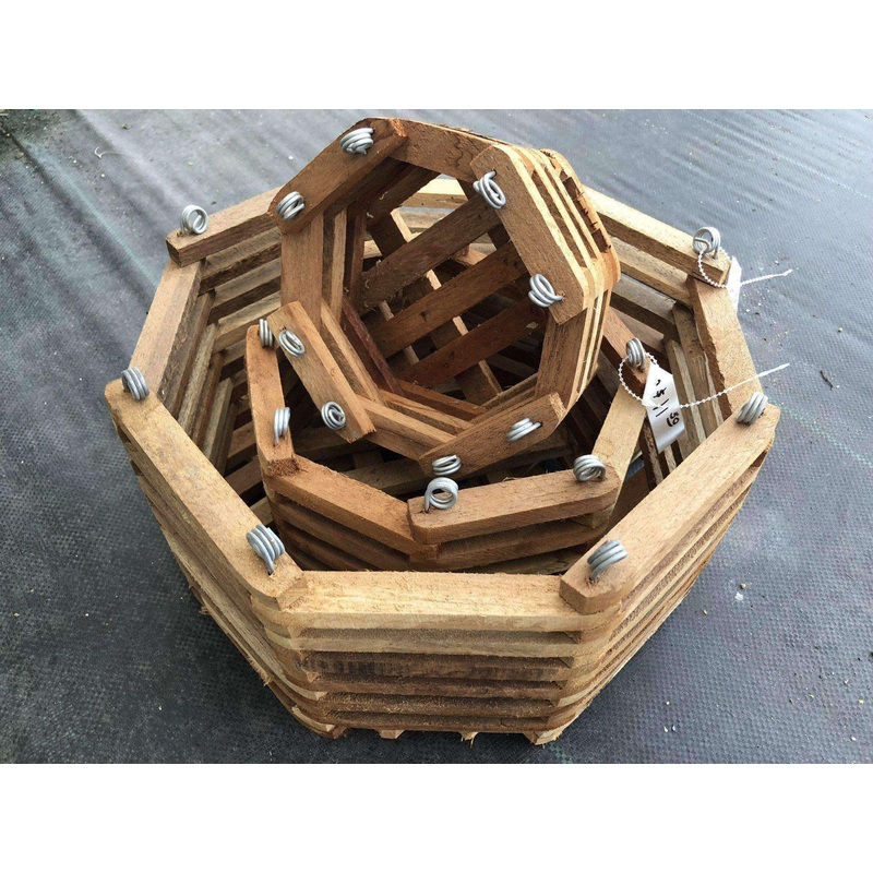 Octagon Vanda Basket|6-inch|8-inch|10-inch|12-inch