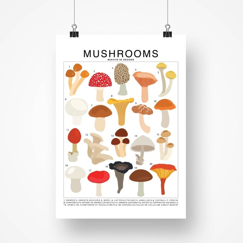 Mushrooms Species ID Chart – Botanical Fungi Art Print