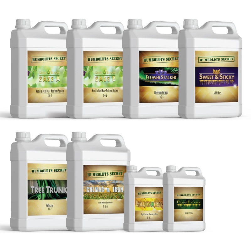 Starter Kit 2 XL  8 Bottle Set (832 Ounce Total)