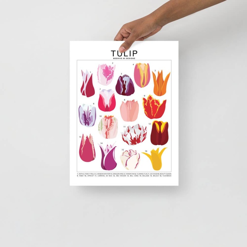 Tulip Species ID Chart – Botanical Floral Art Print