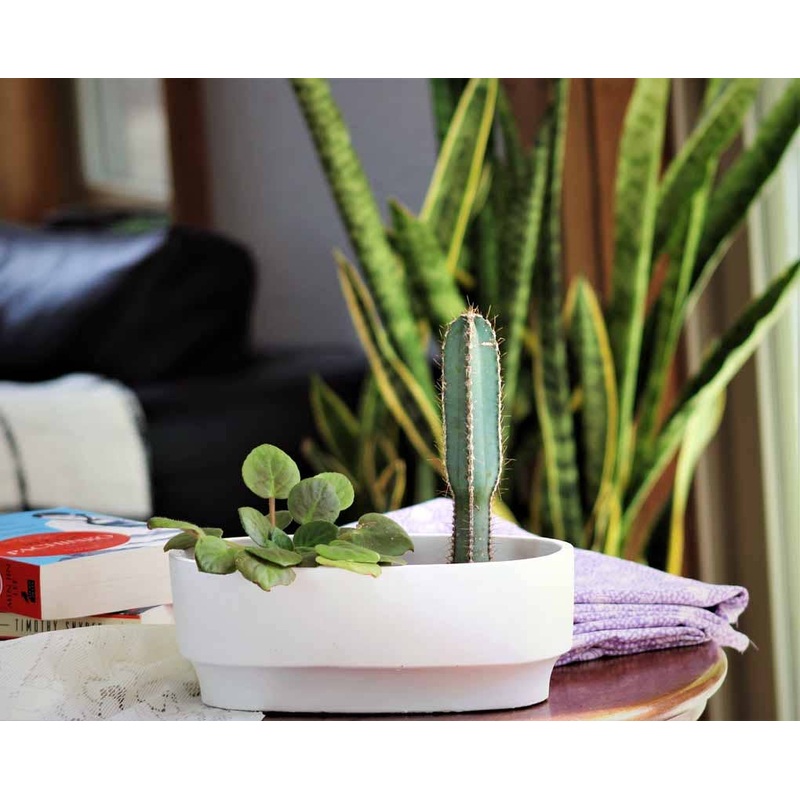 Art dcor oval planter