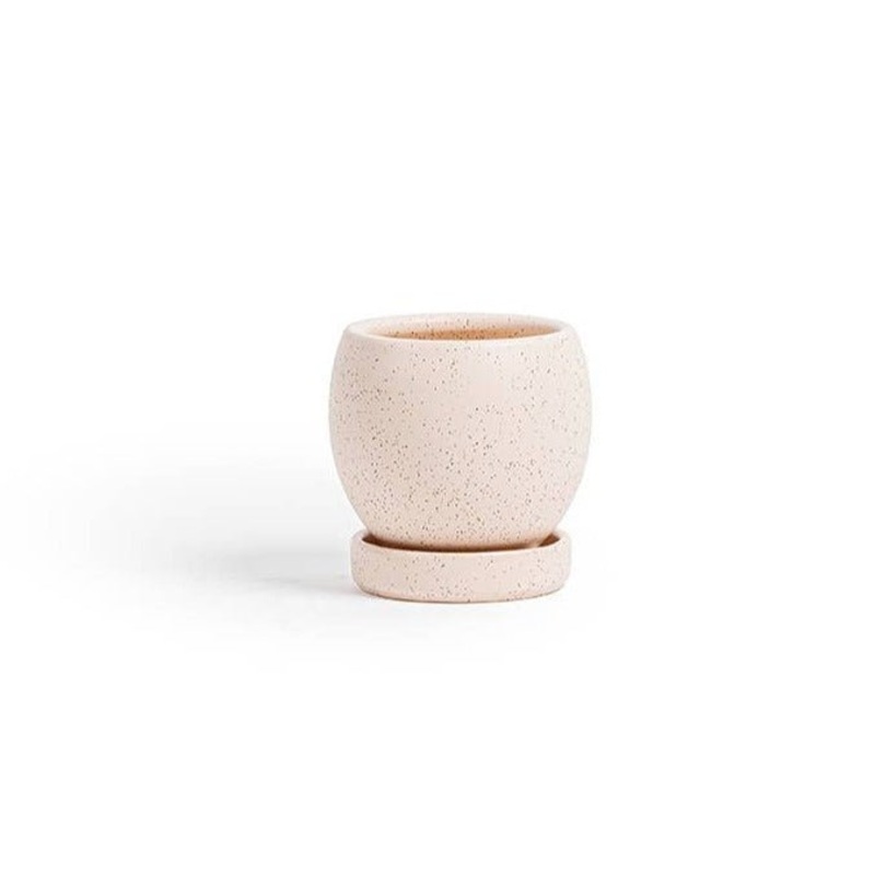 Gemstone Boll Pot with Water Saucer 4.5 Inch
