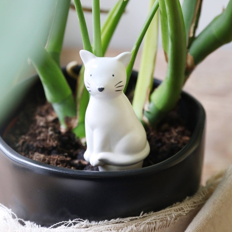 Self Watering Device – Cat