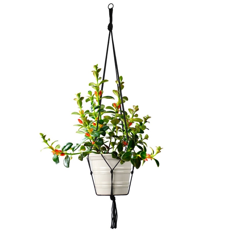 Universal Black Macram Plant Hanger  Economical, Fits Most Pots