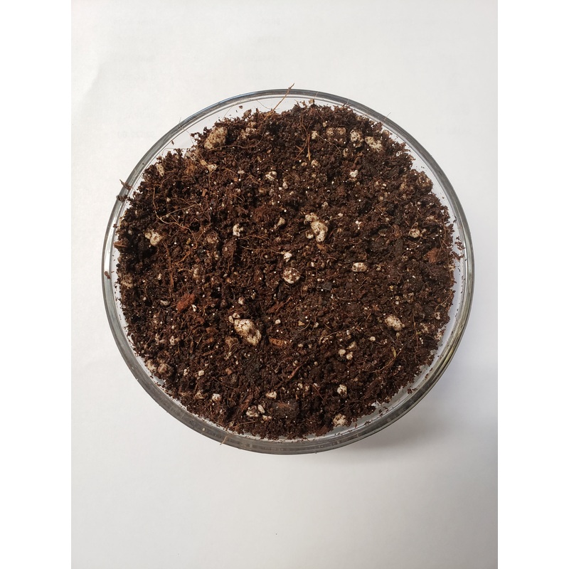 Elite Seed and Clone Soil|6 QT BAG|1 cu ft|1 yard – Bulk Tote